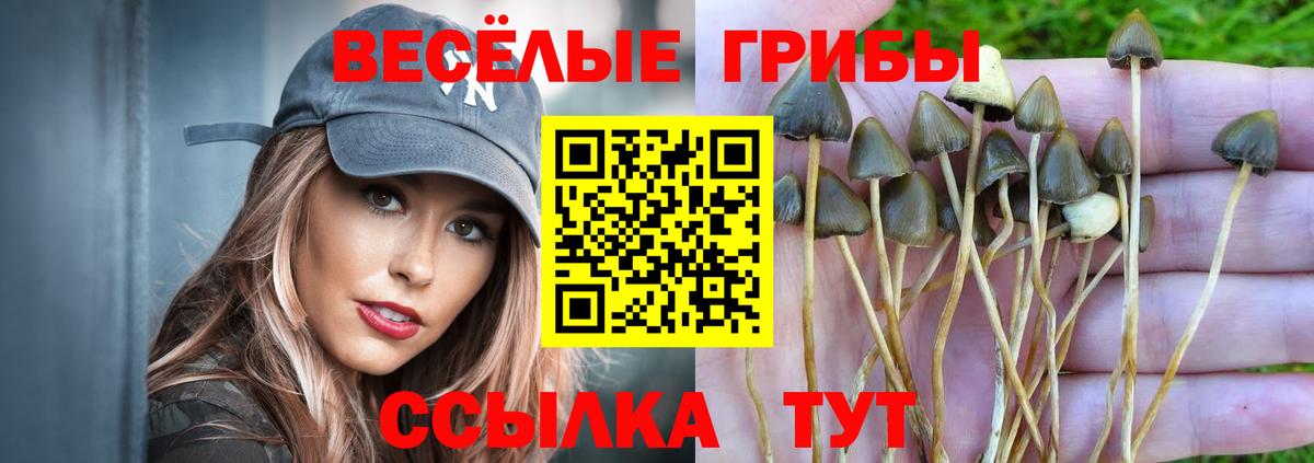 Галлюциногенные грибы Magic Shrooms  Вход с VPN  Кимовск 